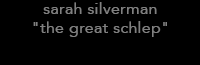 the sarah silverman program